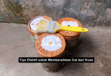 Tips Efektif untuk Membersihkan Cat dari Kuas
